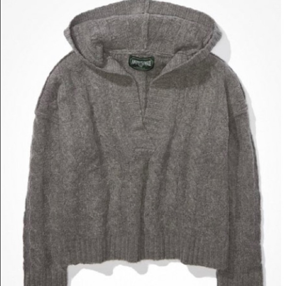 AE SOFT & COZY HOODIE SWEATER